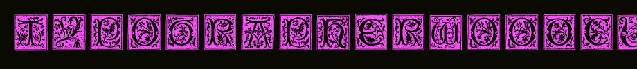 Typographherowoodcutinitiallson. TTF type, t letter English